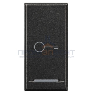 Axolute Клавиши с символами для системы автоматизации для 1 функции - 1 модуль, Ключ, цвет антрацит