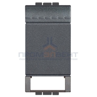 LivingLight Клавиша с 2 отверстиями для вставки символа, размер 1 модуль, цвет антрацит