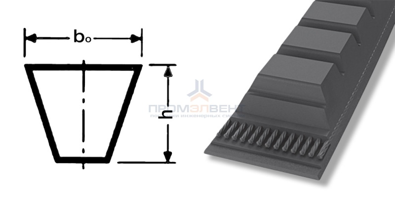 ремень xpa 2482