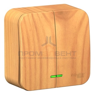 Выключатель 2-клавишный с подсветкой (cх.5) Blanca Schneider Electric 10А 250В ясень изол.пластина