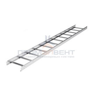 Лестничный лоток 50х200 плюс, L 3000
